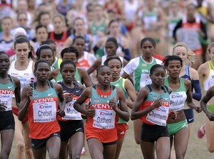 Przełajowe MŚ - Bydgoszcz 2010 obrazek 10